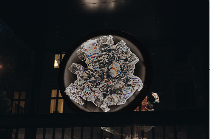 Kajsa Willner - Polarised Portraits