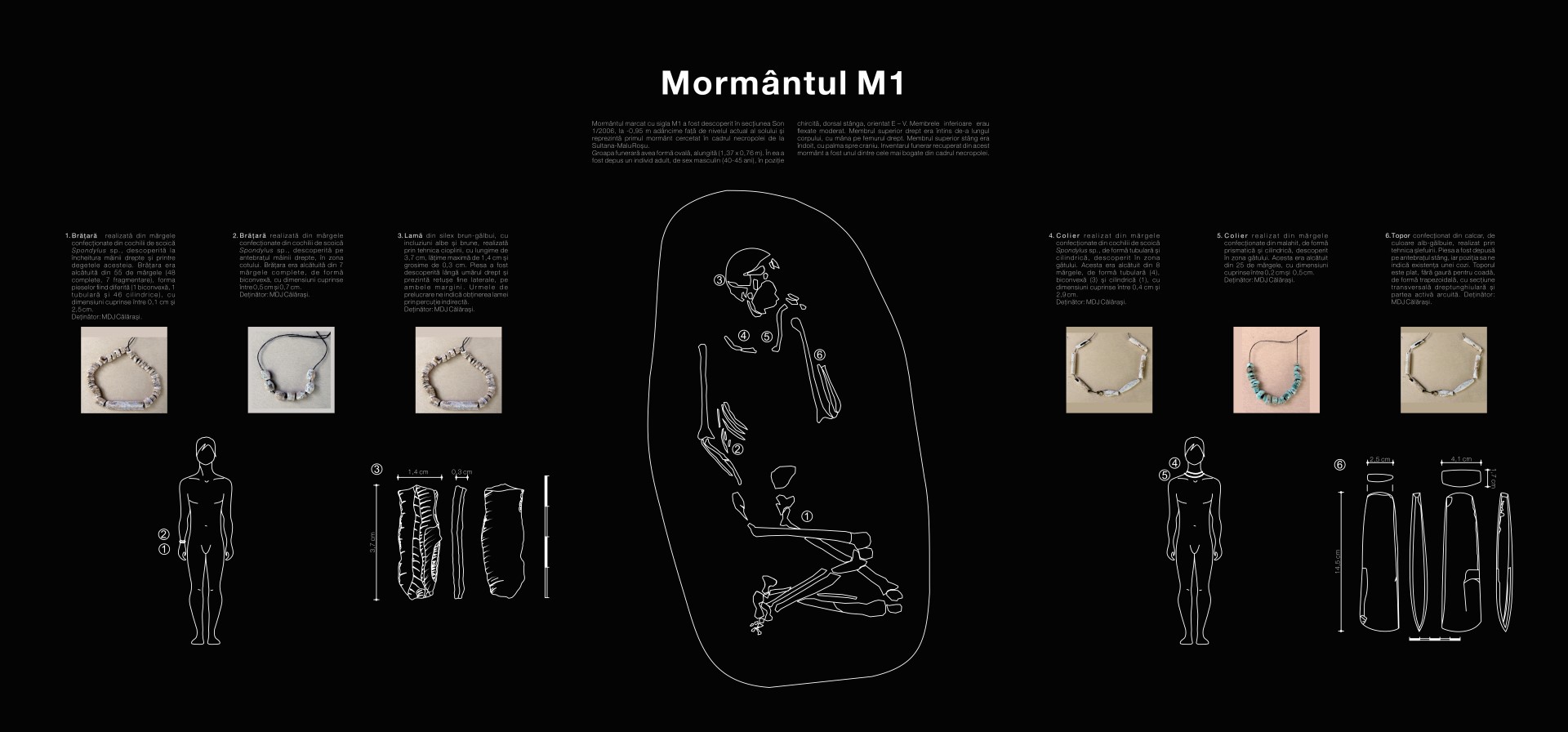 Radiografia unei lumi dispătute