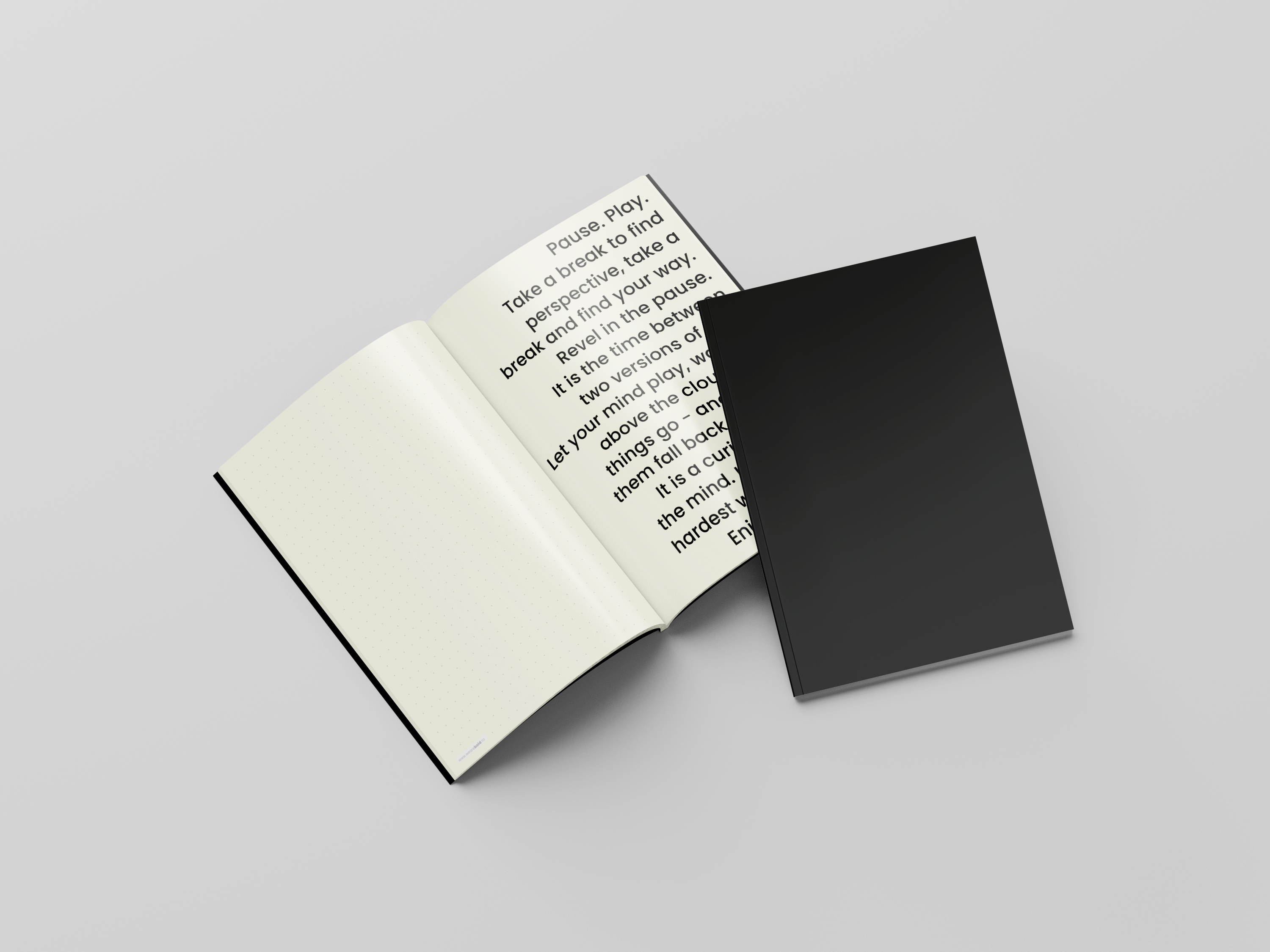 The Bold Notebooks