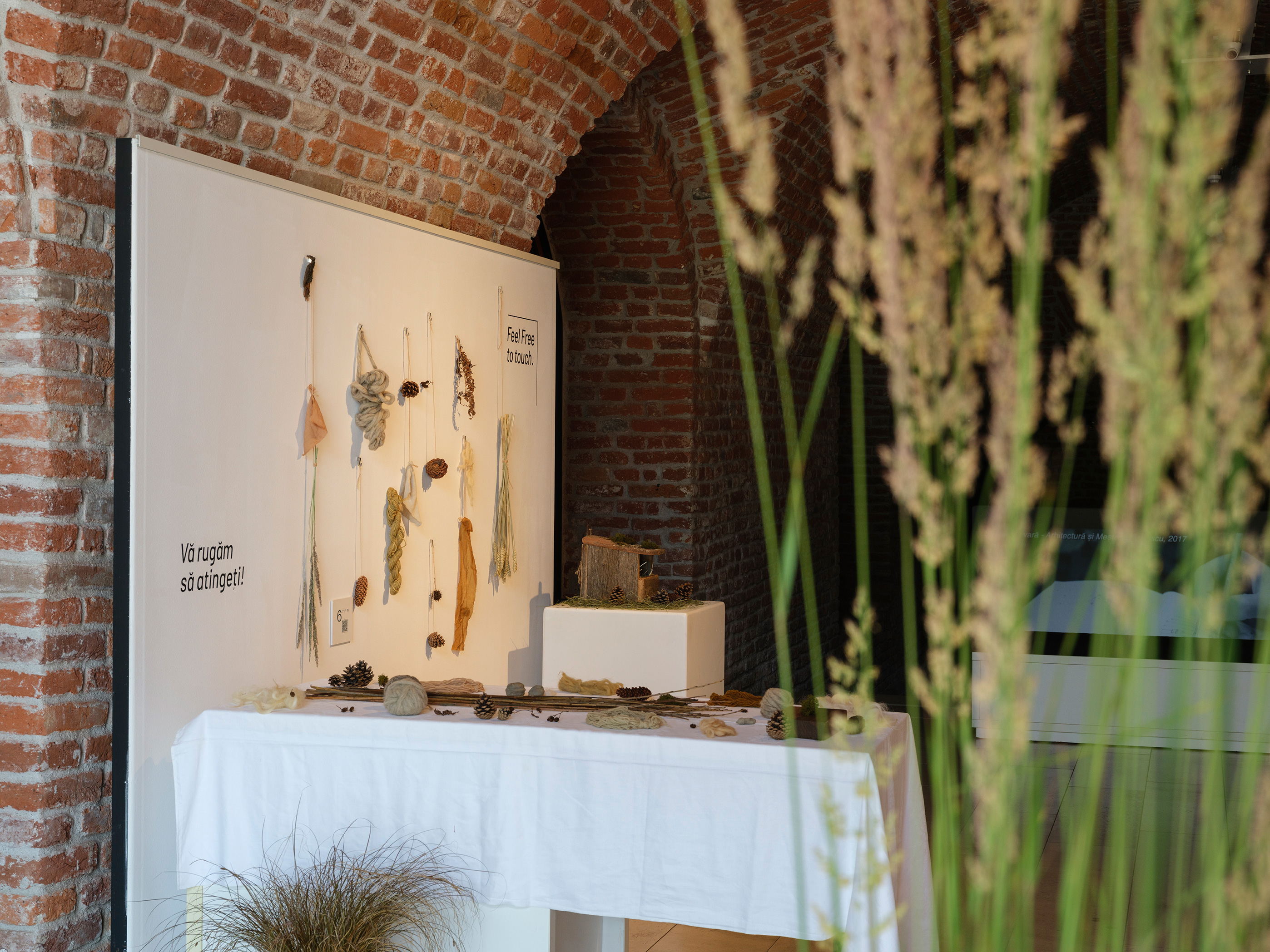 Design expoziție Cultural Catalysts la HEI Timișoara 